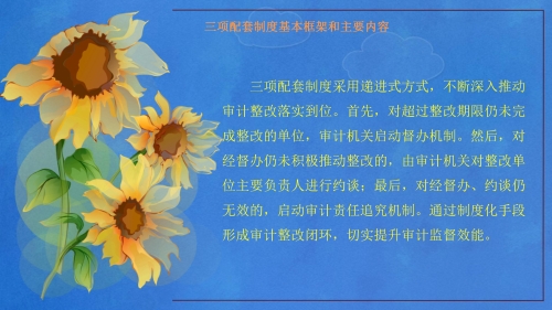 《昆明市进一步加强审计整改工作办法》及三项配套制度政策解读_12