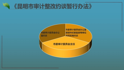 《昆明市进一步加强审计整改工作办法》及三项配套制度政策解读_15